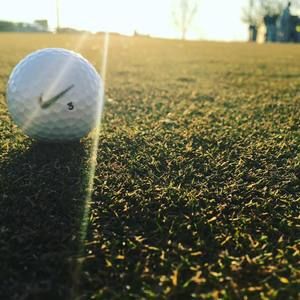 Meet your Posher, Todd